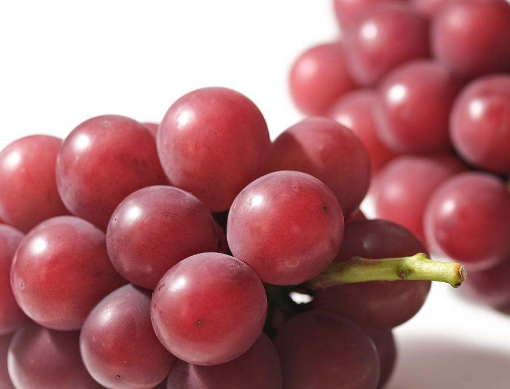 あなたが現在見ているのは 秋メニューに変更致しました