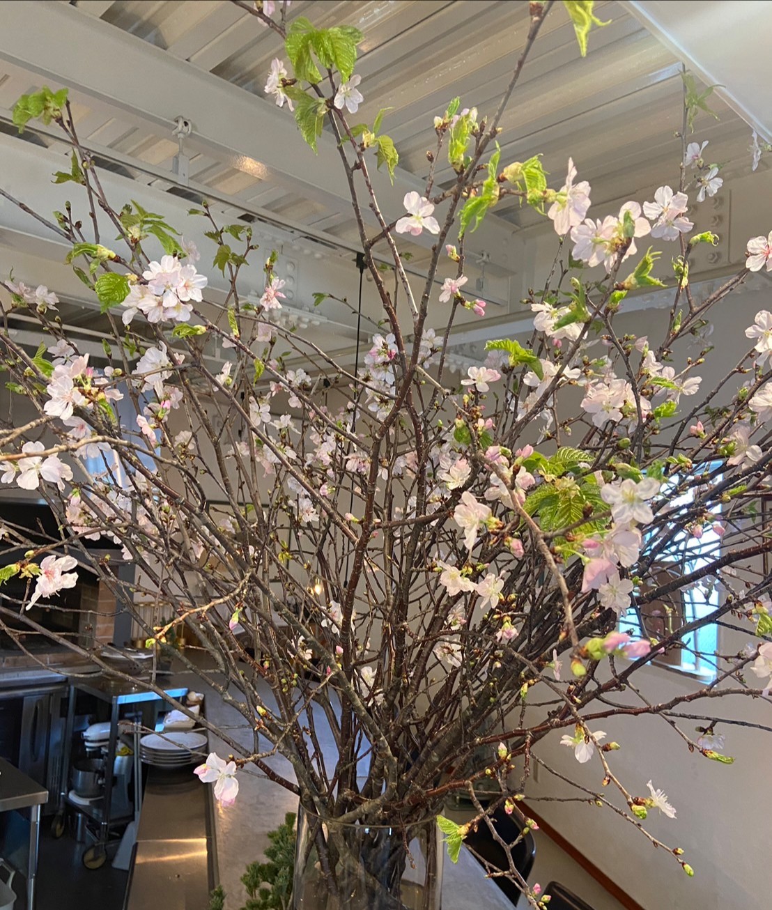 投稿についてもっと詳しく 春メニューに変更致しました