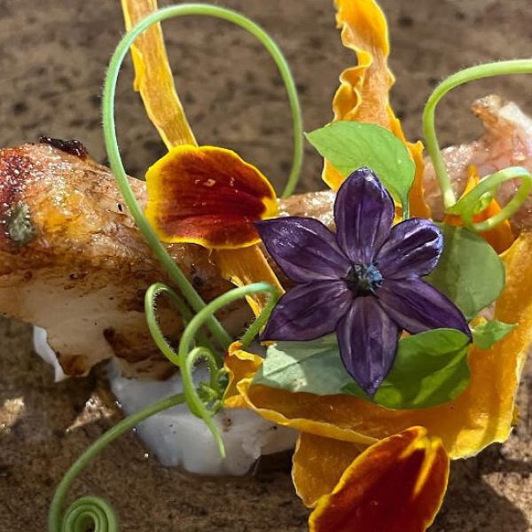 レストランエクティル　メニュー